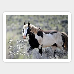 Be Proud Be Wild Be Free Wild Mustang Stallion Photo Sticker